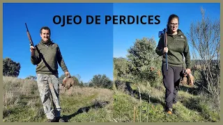 Ojeo de PERDICES