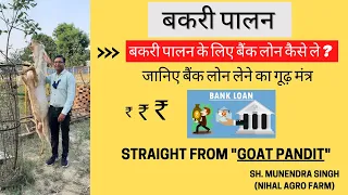 बकरी पालन के लिए बैंक लोन कैसे ले | Bank Loan for Goat Farming