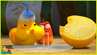 LARVA SEASON 6 EPISODE 192 ~ 276 | CARTOONS NEW VERSION | SMTOON LARVA