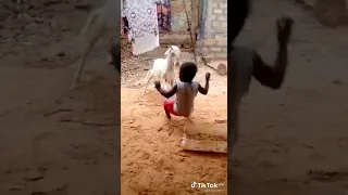 this guy was beaten by a goat