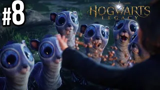 Збираю покемонів у Гоґвортсі • Hogwarts Legacy проходження українською #8 • Падон