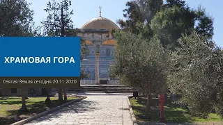 ХРАМОВАЯ ГОРА 20.11.2020