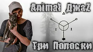 Animal ДжаZ - Три Полоски. Cover by Ярик бро.