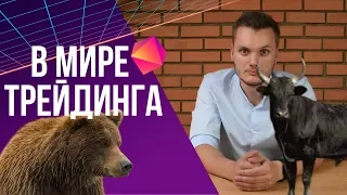 Быки и Медведи. Сленг Криптовалют | Хочу в Крипту