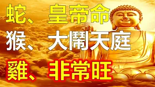 2024年生肖屬蛇人是皇帝命，屬雞人的是十二屬相中最發財的，2024年生肖屬猴人大鬧天庭，2024十二生肖屬猴人整體運勢，生肖蛇的運勢不錯，生肖雞賺錢容易，十二生肖運勢運程大分析