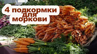 Чем подкормить морковь, чтобы была крупной и сладкой.