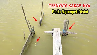 Hanya Sebentar!! Mancing Kakap Putih Dapat Banyak