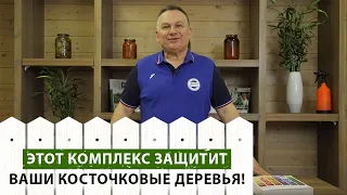 Самый эффективный комплекс препаратов для борьбы с вредителями косточковых деревьев!