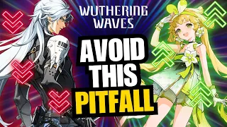 Avoid This Mistake In Wuthering Waves Standard Banner | 5 Star Beginner Selector Guide