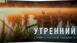 Утренний стрим! • Донка, Спиннинг, Матч • Русская Рыбалка 4