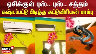 Snake in AC | ஏசிக்குள் புஸ்.. புஸ்.. சத்தம் - கஷ்டப்பட்டு பிடித்த கட்டுவிரியன் பாம்பு | Thiruchi