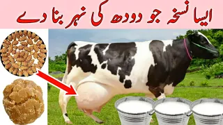 How to increase Milk and Udder Of Cows and Buffalo | Doodh badhane ki khurak | doodh double