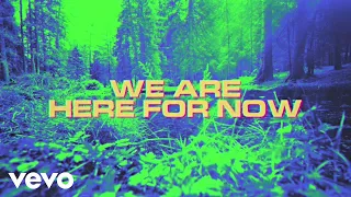 Louis The Child - We Are Here For Now (Lyric Video)