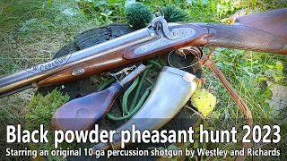 Pheasant hunting with an original 10ga Westley Richards percussion shotgun