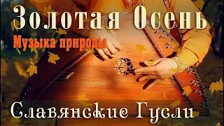 Музыка природы на гуслях 432 Гц 🍂 Золотая Осень - Красивая музыка для души на гуслях