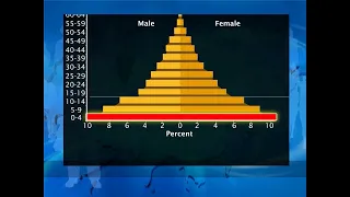 Population Pyramid - Class 8 Geography - Learnflix App