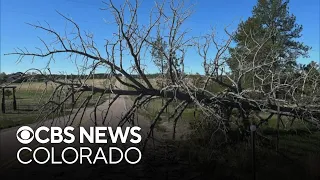 People living in Douglas County shocked by strong wind gusts blowing through the state