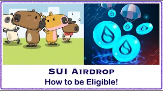 SUI Blockchain- How to become Eligible for Airdrop!