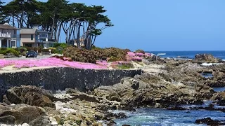 Monterey, CA, USA.  Курорт Монтерей, Калифорния