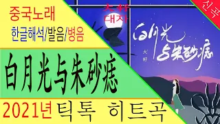 [Chinese song / 중국노래] 白月光与朱砂痣 (하얀 달빛과 붉은 점) 大籽 (대자) /가사/해석/한글발음/병음 /拼音/Lyrics