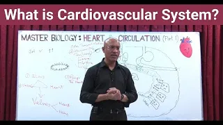 What is Cardiovascular System | Circulatory System | Biology | NEET | GCSE