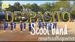 Despacito-band cover|| school band in srilanka
