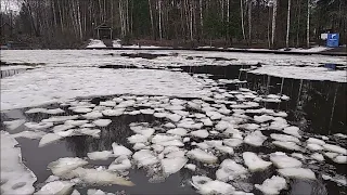 Размывка льда продолжается. Спорт-зона. Клёвое место Лосиный остров.