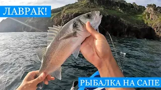 Ловля ЛАВРАКА! Сибас - СПЕЦВЫПУСК! Троллинг на сапе, нырялка и немного экзотики!)