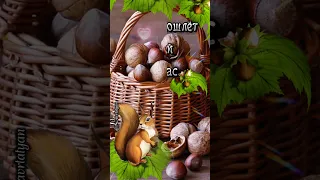 29 августа. Поздравляю с Хлебным и Ореховым Спасом! 🌾🌰🙏