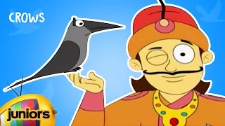 Akbar And Birbal Animated Stories In English For Kids | Crows | Mango Juniors