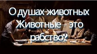 Владимир Пятибрат о душах животных. Животные - это статисты системы, где куется сверхчеловек. 2019г.