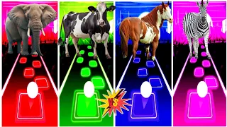 Funny Elephant 🆚 Funny Cow 🆚 Funny Horse 🆚 Kangaroo.🌟 Best Edm Rush Gameplay ✅