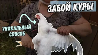 Забиваем птицу, как это делали наши предки ! ( без крови !)