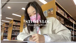 STUDY VLOG | ft. the final countdown before ib exams! 💫