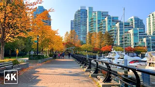 【4K】Vancouver Autumn Walk| Coal Harbour Vancouver Canada, (Binaural City Sounds) 4K Ambience