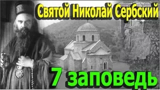 Святой Николай Сербский. Седьмая Заповедь. Объяснение 10 Заповедей.