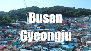 Travel Vlog: Busan and Gyeongju