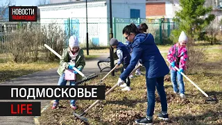 Китайский опыт образования для Домодедово. Добрые дела и благоустройство в Шатуре