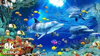 8K Underwater Wonders 🐠 Tropical Fish, Coral Reefs, Sea Turtles - Reduce Stress And Anxiety