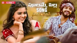 Poolamme pilla Song Lyrics/Hunuman Movie/Teja Sajja/