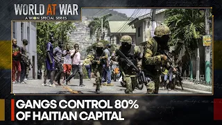 Vigilante violence on the rise in Haiti | World At War
