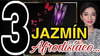 ✅3 PERFUMES CON JAZMÍN‼️ afrodisíaco...