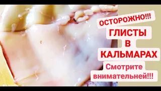 НИКОГДА такого не видела! ГЛИСТЫ в кальмарах! Будете внимательнее