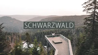 Vanlife im Schwarzwald - Die schönsten Orte in 3 Tagen