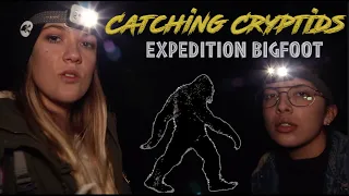 Expedition Bigfoot Mockumentary