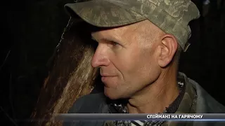 На Сумщині на гарячому спіймали браконьєрів, які незаконно вбили оленів