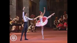 Don Quixote grand pas de deux - Galina Stepanenko  Yuri Klevtsov