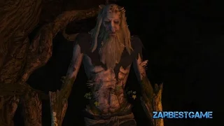 The Witcher 3 - Кровь и Вино. Гротник #12 ● Gameplay ● Walkthrough ● PC