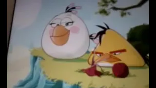 Angry birds toons fired up