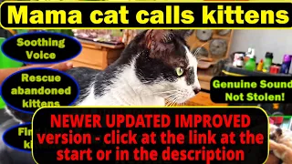 Mother cat calling her kittens sound effect - kitten rescue 1 hour - cat meow